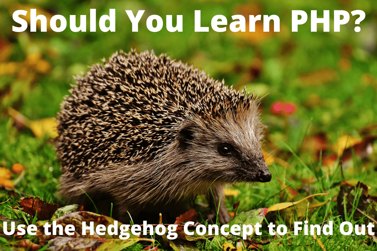 Using the Hedgehog concept to determine if you should become a PHP developer